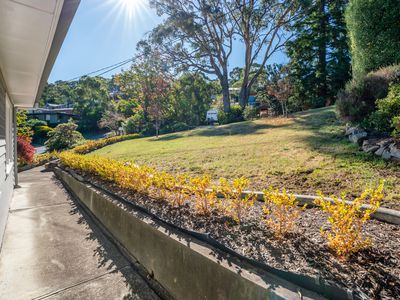 58 Begonia Street, Lindisfarne