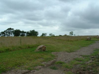 Lot 3 Lot 3 Graydons Pointer Road, Milton