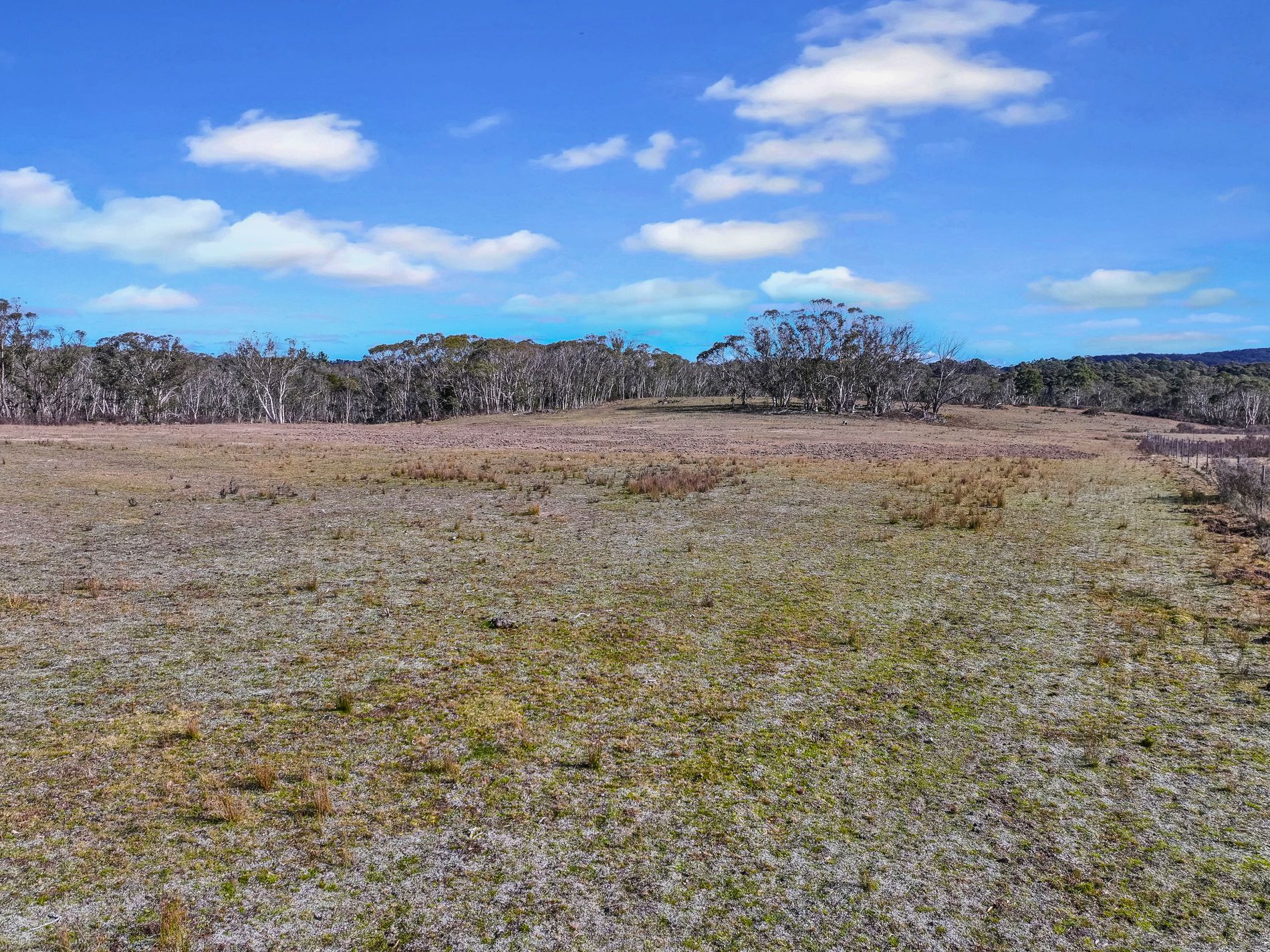 Lot 113 / 443 Back Creek Road, Mongarlowe