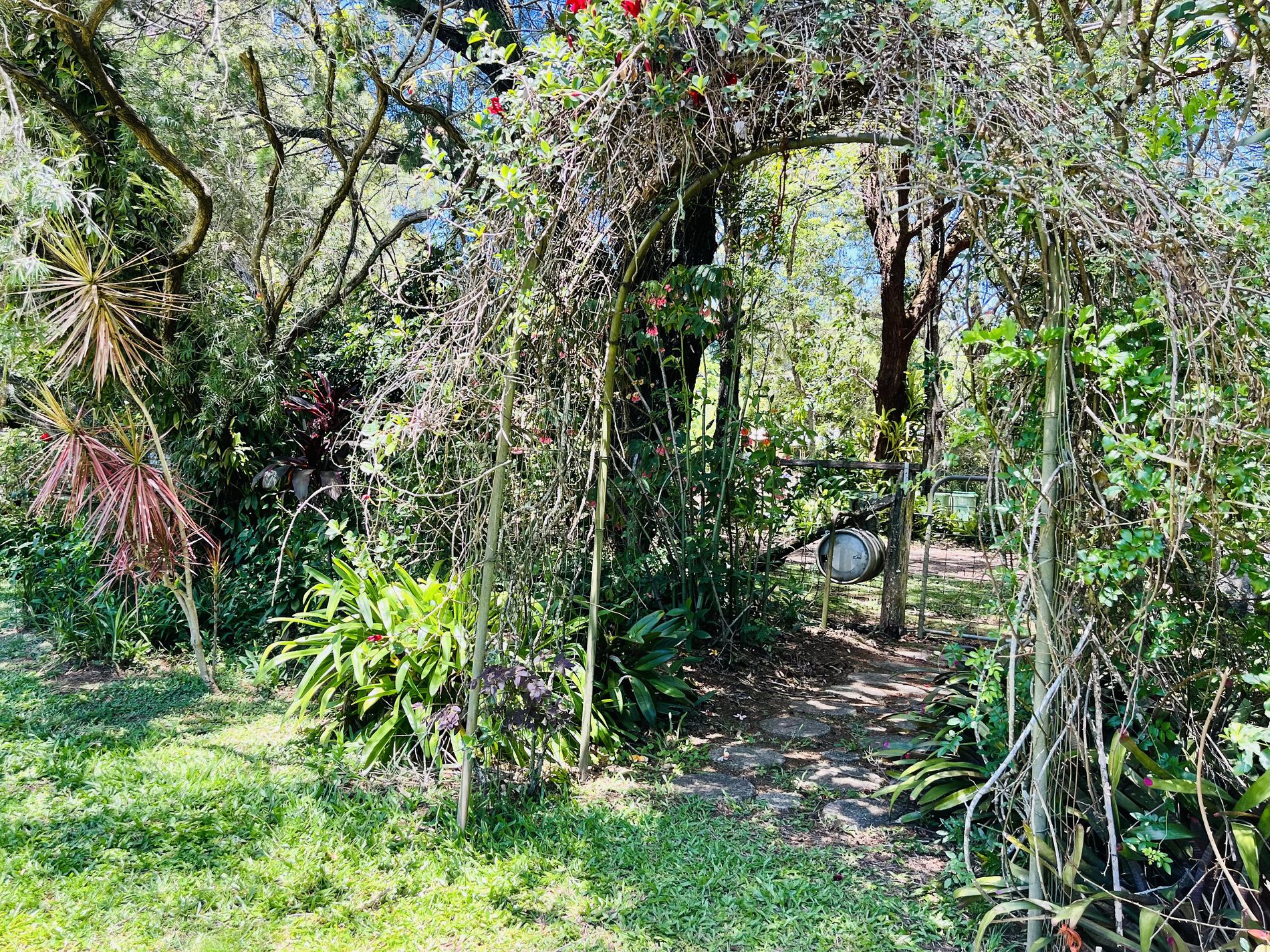 77 Summit Road, Pomona