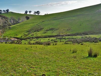 Bottom Creek - Sirls Road, Bethanga
