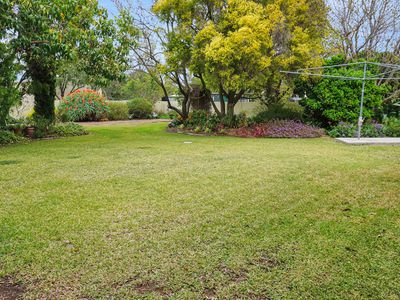 8 Acacia Street, West Wyalong