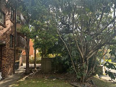 3 / 95 Indooroopilly Road, St Lucia
