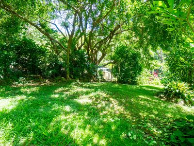 771 Left Bank Road, Mullumbimby Creek