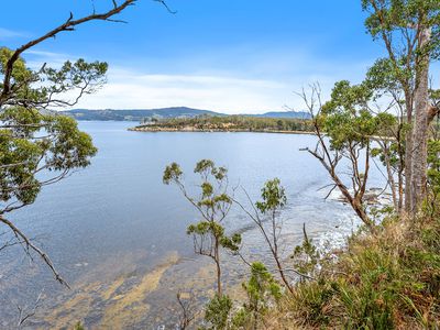 84 Williams Road, Randalls Bay