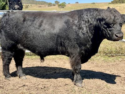 4782 Jerangle Road, Captains Flat