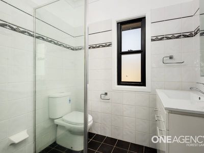 22 Buddleia St, Inala