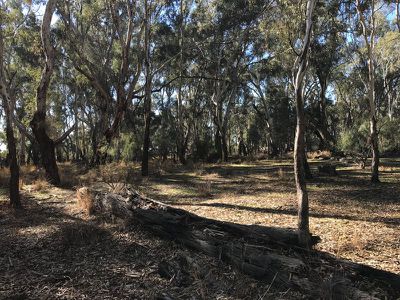 2 / Murray Road, Murrabit