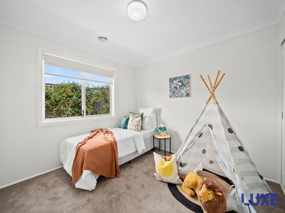 16 Clarendon Street, Amaroo