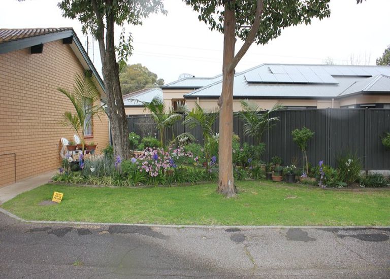3 / 19 Desaumarez Street, Kensington Park