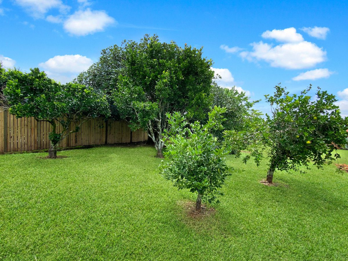 43 Tower Avenue, Atherton