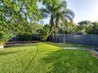 18 Satinay Street, Keperra