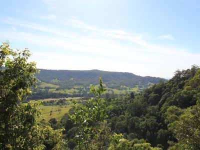 339 Free Selectors Road, Foxground