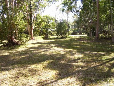Morisset