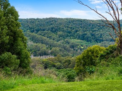 1005 TUNTABLE CREEK ROAD, Nimbin