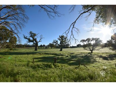 Lot 776 Hearls Road, Flaxman Valley