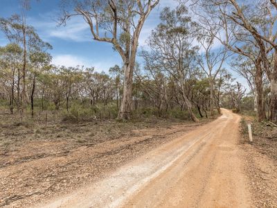 135 Chamberlain Road, Cornella