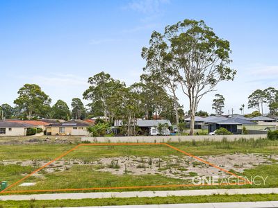 21 Tree Frog Street, South Nowra