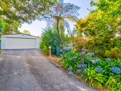 8 Teton Court, Tamborine Mountain