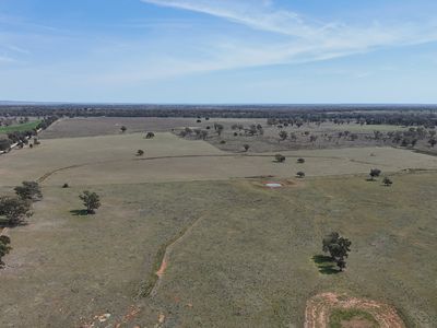 3166 Back Trundle Road, Parkes