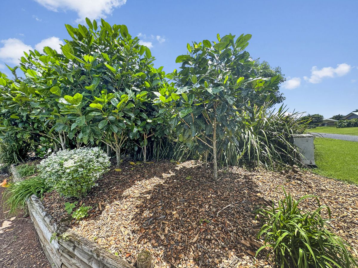 14 Storer Street, Atherton
