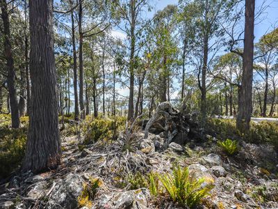 22 Arthurs Lake Road, Wilburville