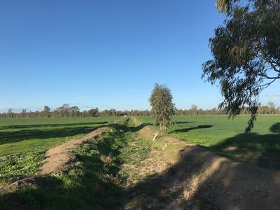 317 Lilford Lane, Barham
