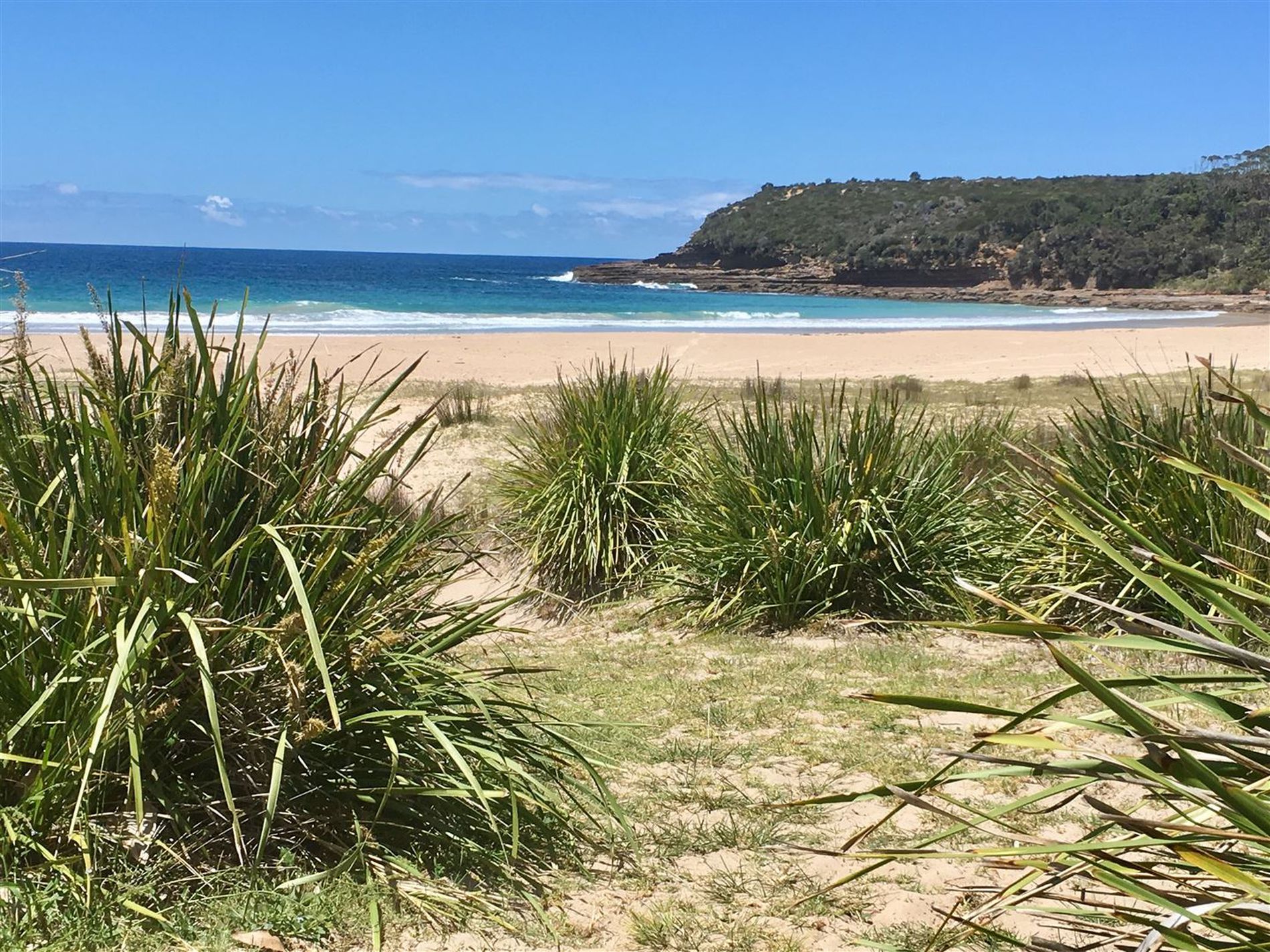 71 Kurrawa Drive, Kioloa