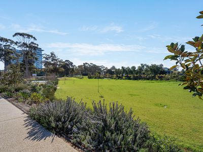 19 Lomandra Avenue, Glenside