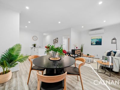 86 JUBILEE AVENUE, Success