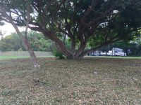 34 / 88 Bleasby Road, Eight Mile Plains