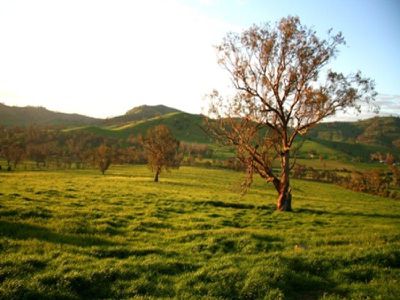 Wirrianda East, Albury