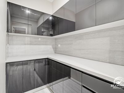 6 Driftwood Street, Box Hill