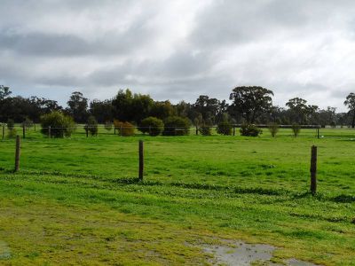 668 Walsh Rd, Horsham