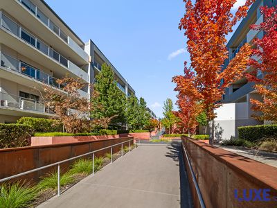 83 / 40 Philip Hodgins Street, Wright