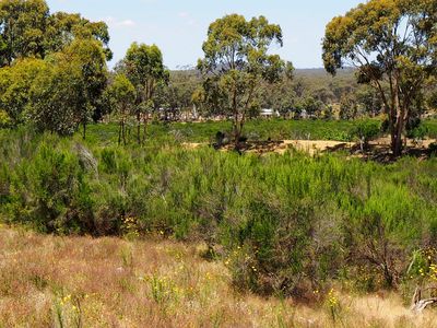 999 Burkes Flat - McIntyre Road, Mcintyre