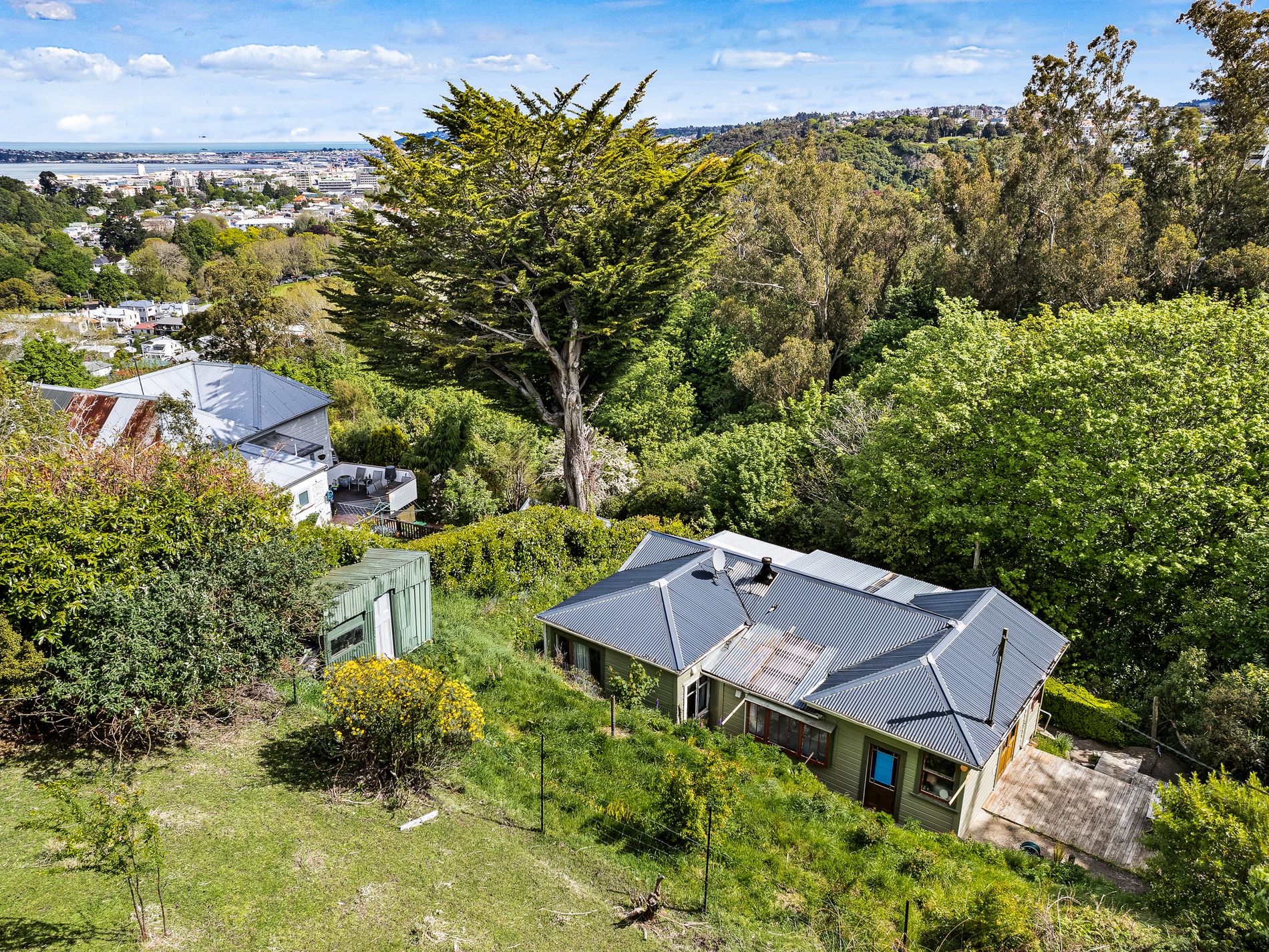 12 Harold Street, North East Valley