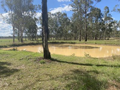 135 Birch Road, Wattle Camp