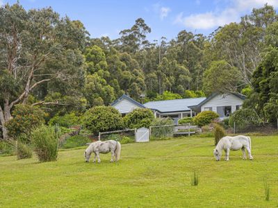 110 Sunday Hill Road, Petcheys Bay