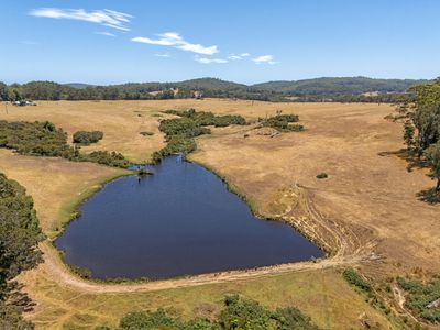 202 Dingo Flat Road, Tingledale