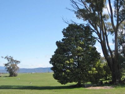 182 Ambrose Drive, Tolmie