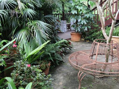 10 / 78 Cecil Street, Nimbin