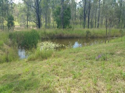 464 Mt Forbes Road, Mount Forbes