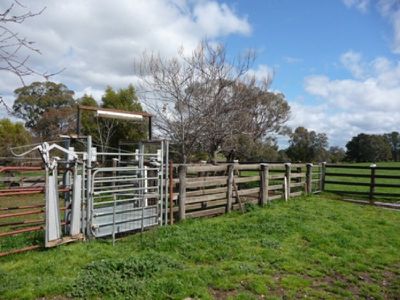 1220 Beechworth Wodonga Road, Wooragee