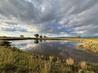 156 Warral-Bithramere Road, Tamworth