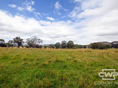 41 Gilligans Lane, Torrington