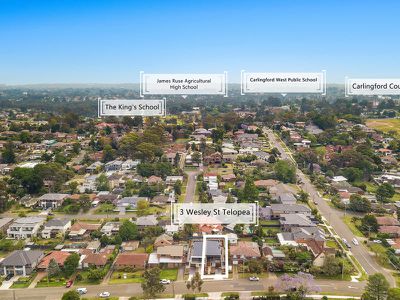 3 Wesley Street, Telopea