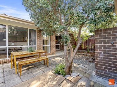 3 / 142 Totterdell Street, Belconnen