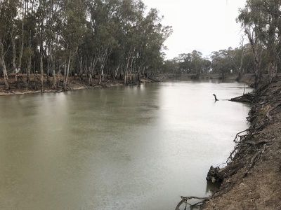 Riverside Homestead Colenso Park Road, Barham