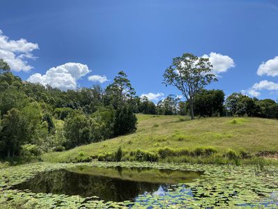 Conondale